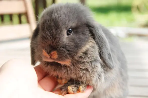 Actualisation des connaissances