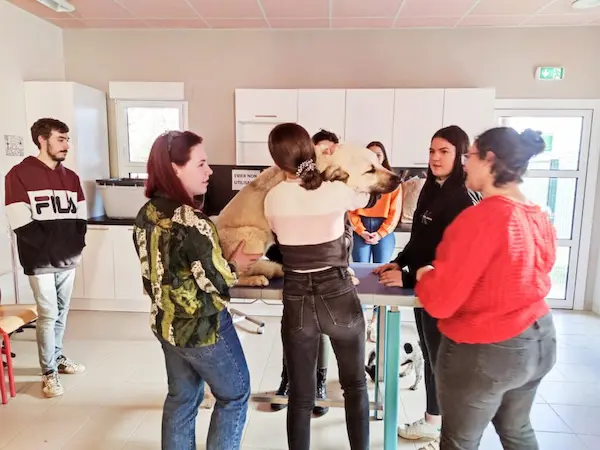 Titre Auxiliaire Spécialisé(e) Vétérinaire