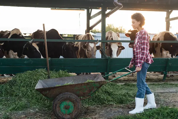 Baccalauréat Professionnel Conduite et Gestion de l’Entreprise Agricole