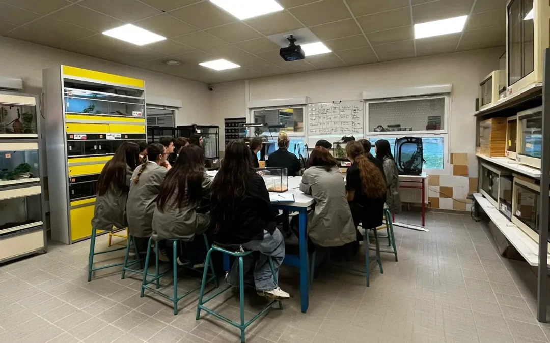 3ème Enseignement Agricole