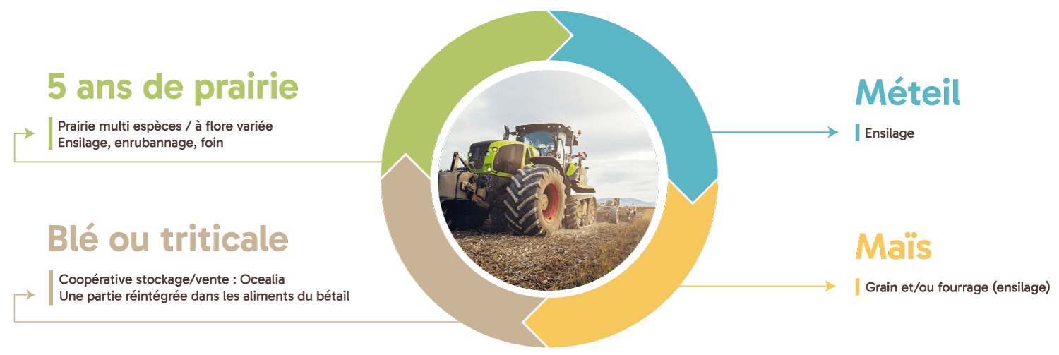 exploitation agricole vaseix schema