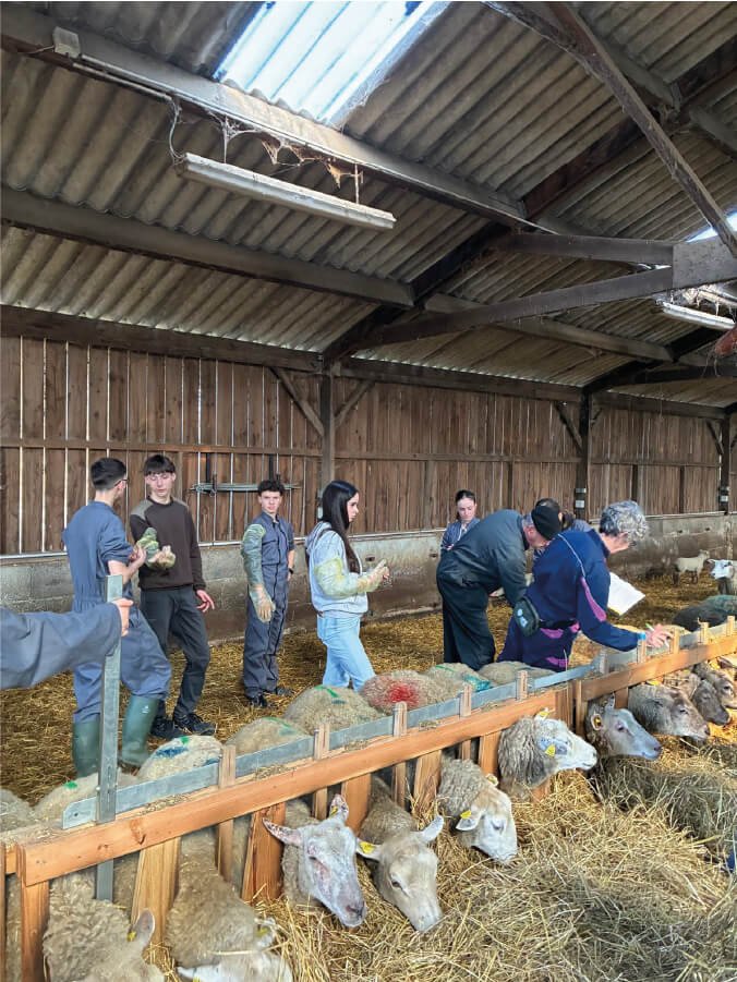 image-essai-ovin-partenariat-ciirpo